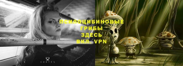 ECSTASY Горняк