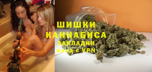 ECSTASY Горняк