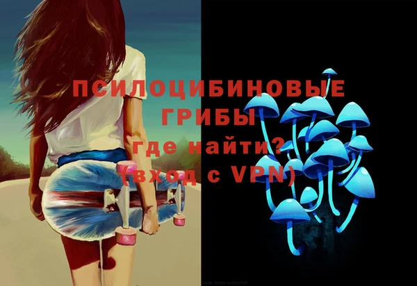 ECSTASY Горняк