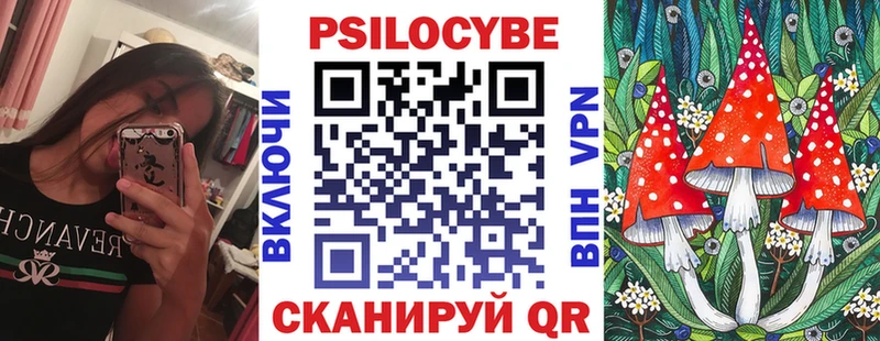 Купить  Чекалин  Псилоцибиновые грибы GOLDEN TEACHER 